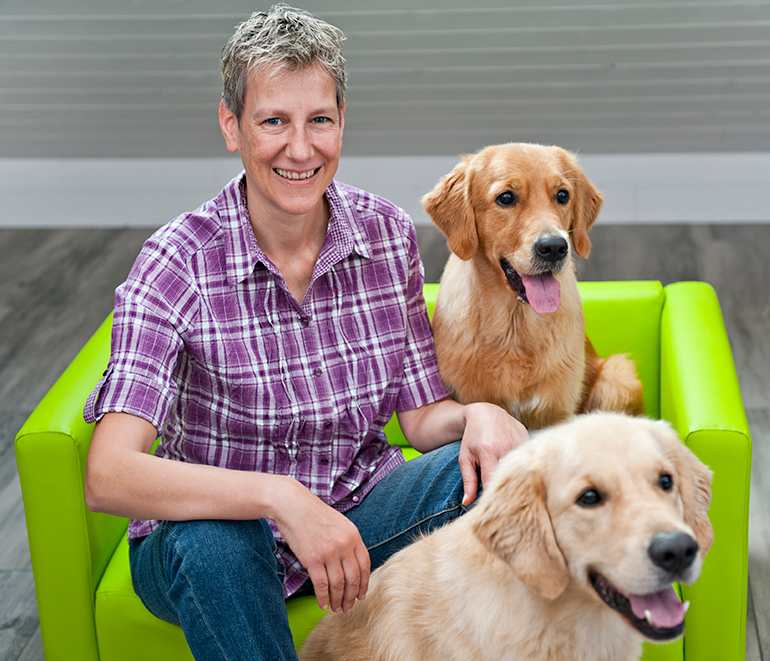 Bürohunde